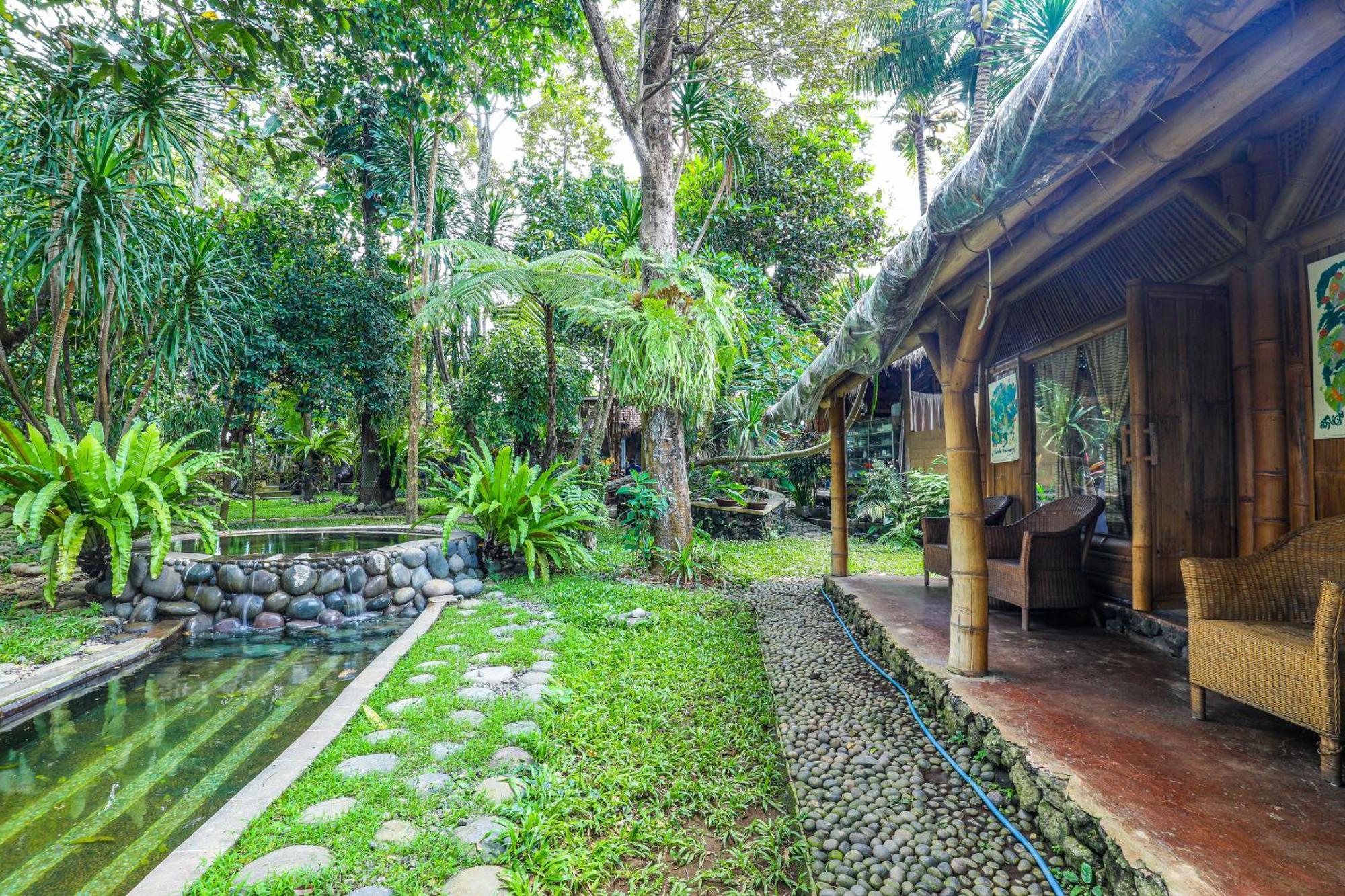 Hotel Omunity Bali Singaraja Exteriér fotografie