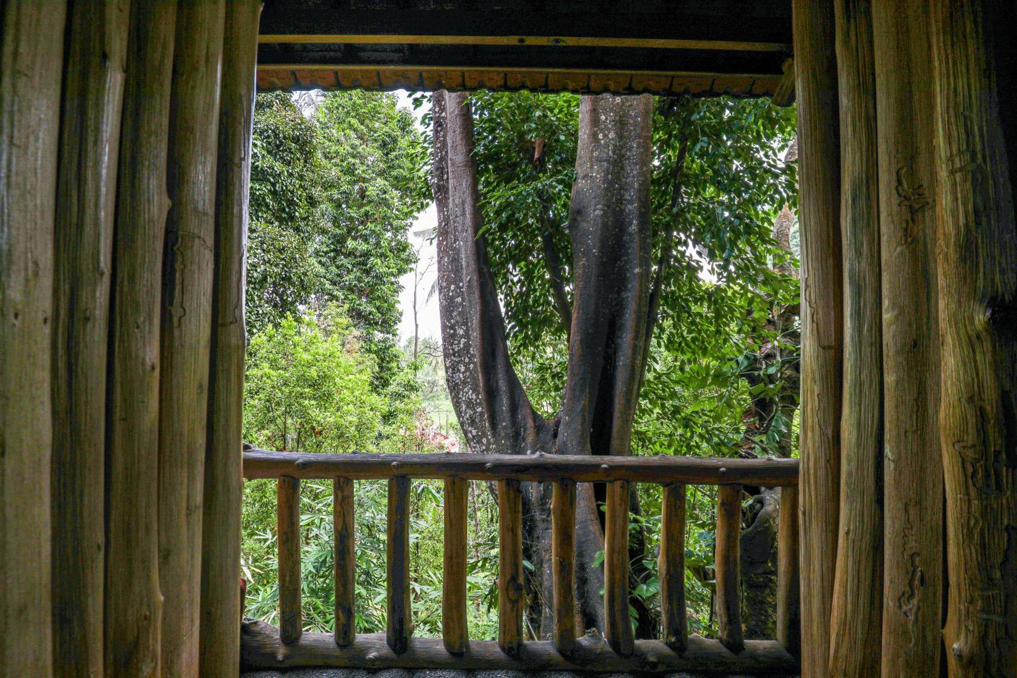 Hotel Omunity Bali Singaraja Exteriér fotografie