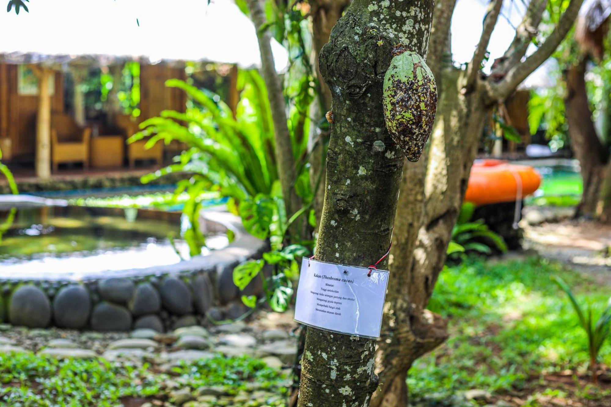 Hotel Omunity Bali Singaraja Exteriér fotografie