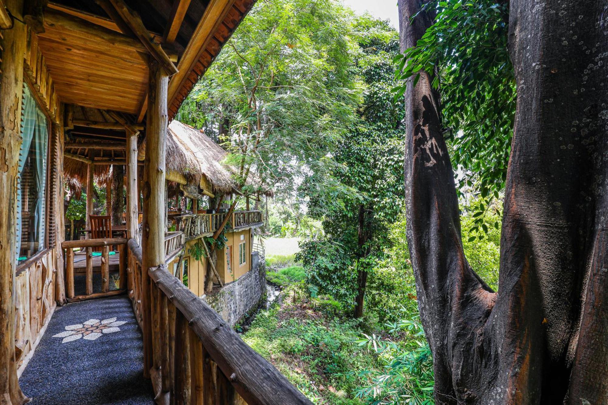 Hotel Omunity Bali Singaraja Exteriér fotografie
